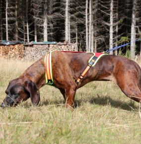 Hundeführgeschirr „FOLLOW TRAIL”