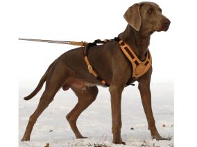 Führgeschirr MANTRAILING angelegt