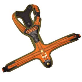 Führgeschirr FOLLOW mit 3 Steckverschlüssen orange/oliv