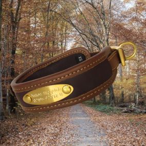 Lederhalsung INDIVIDUELL