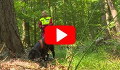 Video über die Anwendung des Geschirrs FOLLOW