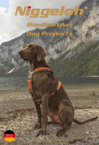 Unser neuer Katalog Hundeausrüstungen 2025